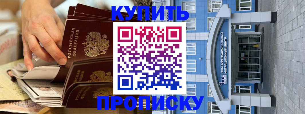 прописка гарантия в Волоколамске